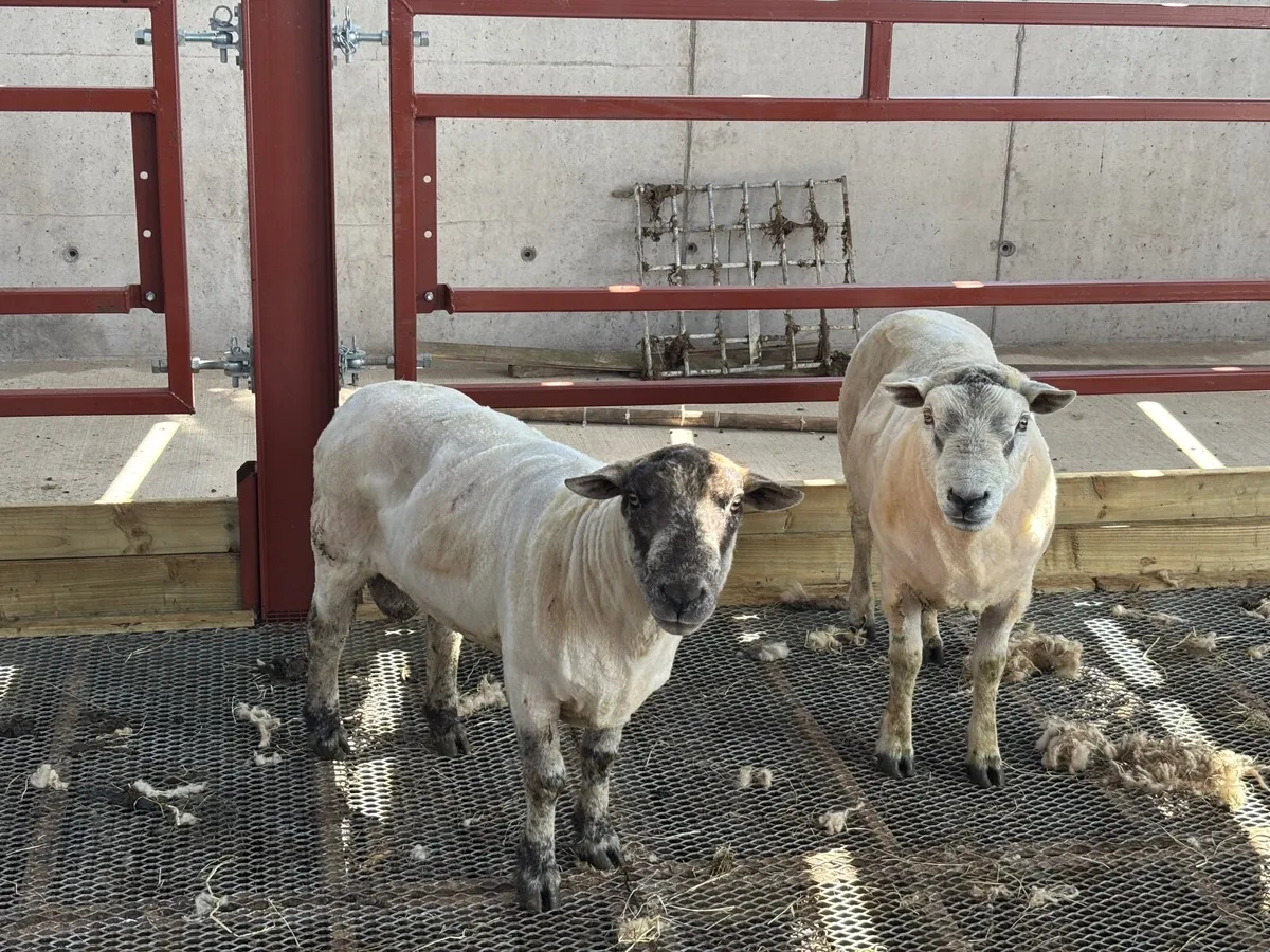 Texel & Sub Texel Ram - Image 3