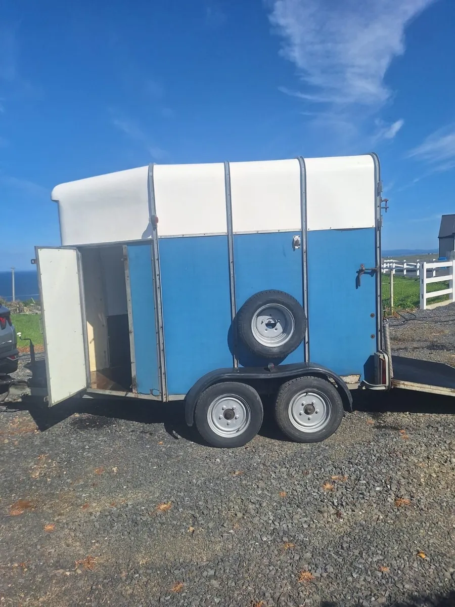 Murphy double horsebox - Image 2