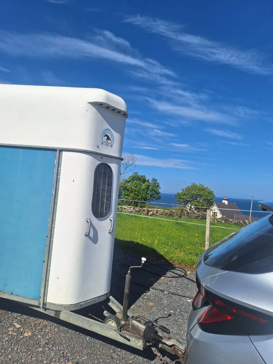 Murphy double horsebox - Image 3