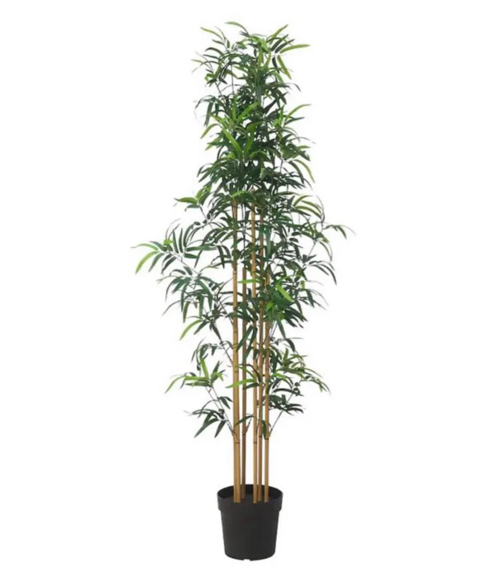 Ikea Bamboo artificial plant - Image 1