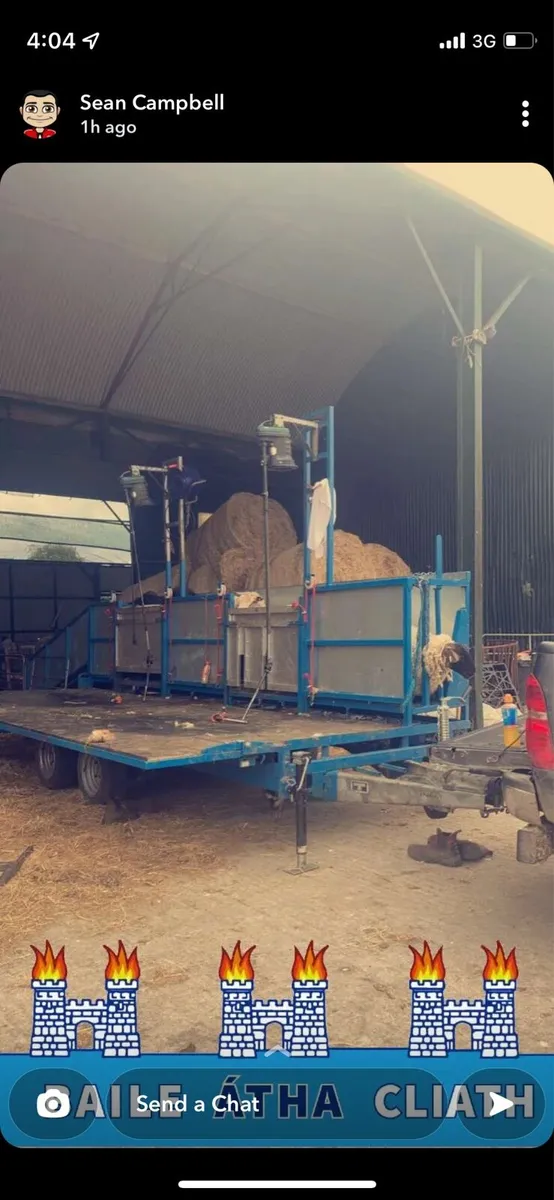 Sheep shearing - Image 2