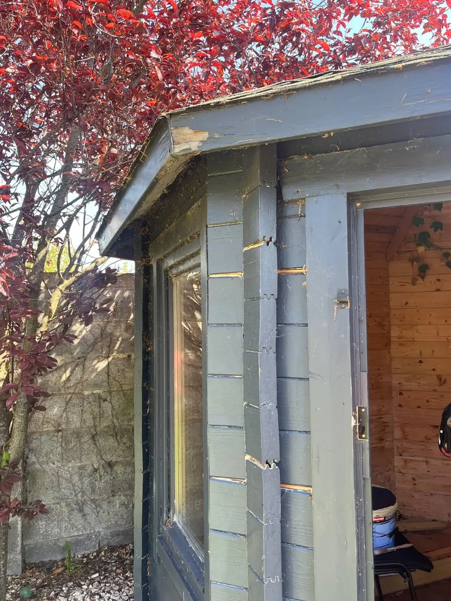 Shed - Image 3