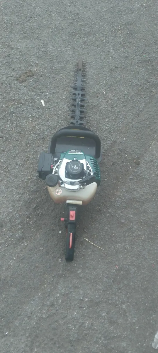 Hedge strummers running very well price - Image 2