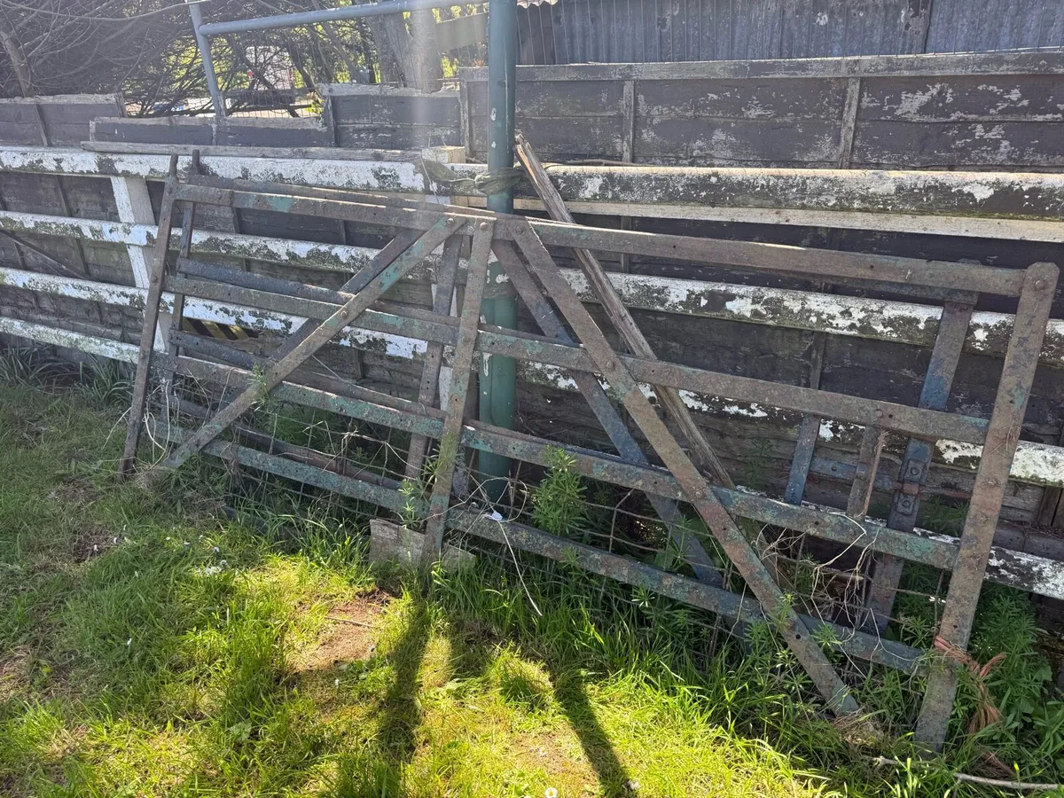 3 old blacksmith made riveted gates - Image 2