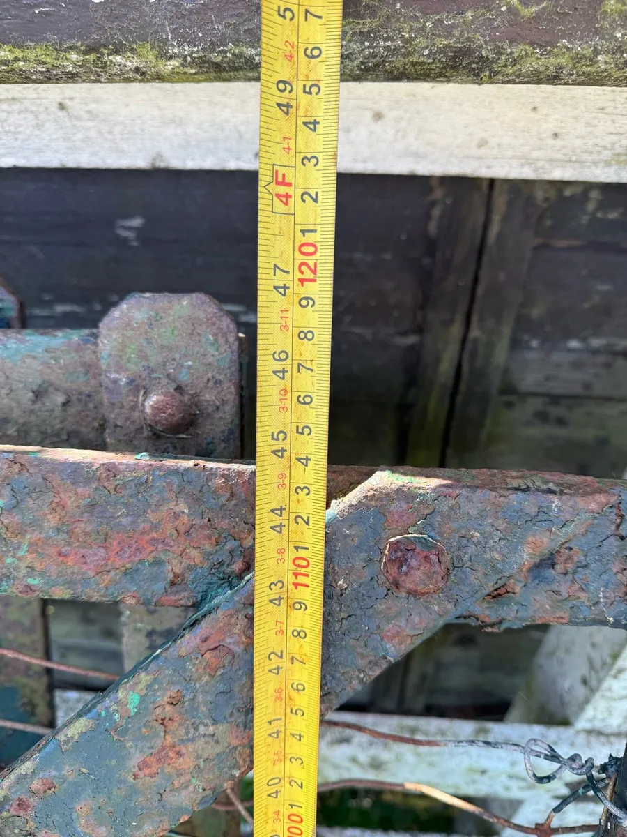 3 old blacksmith made riveted gates - Image 3