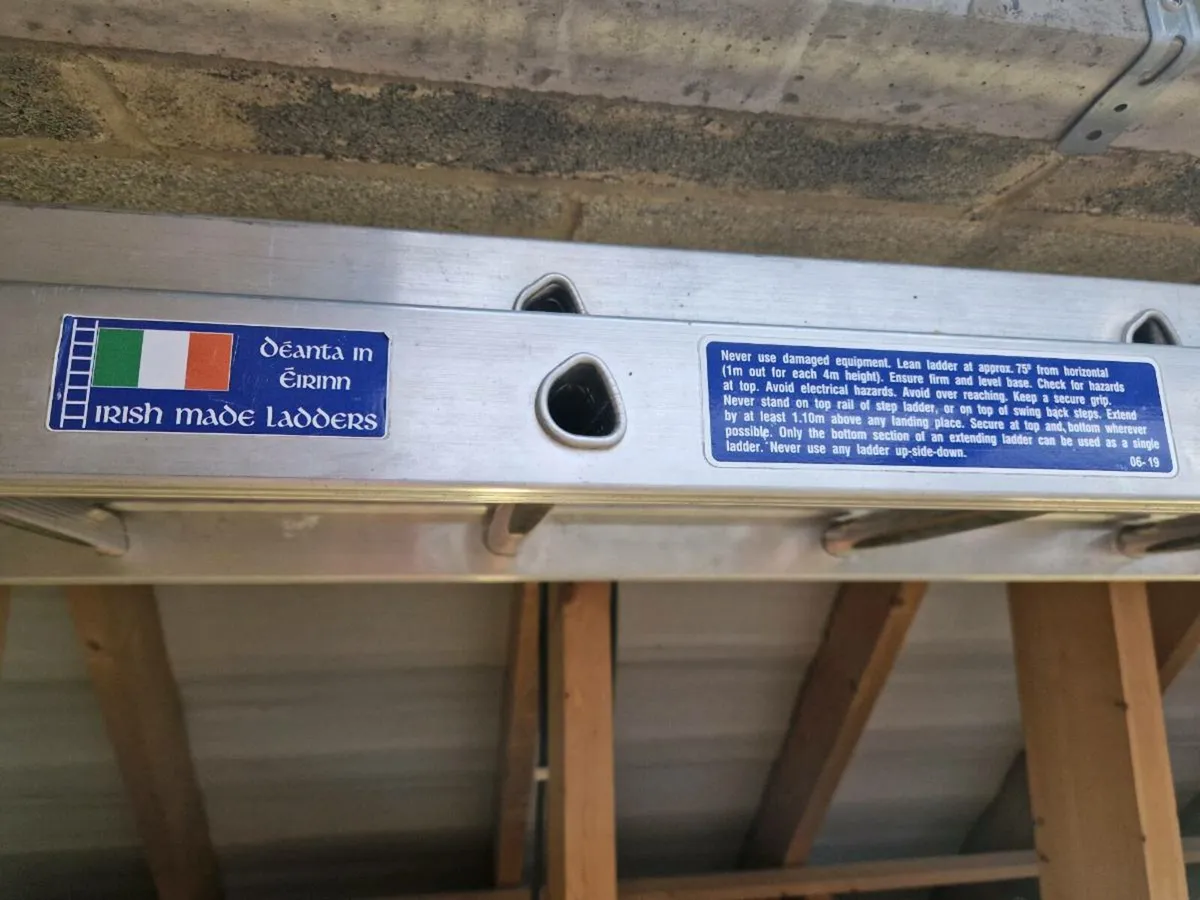 2 Part Ext Ladder - Image 2