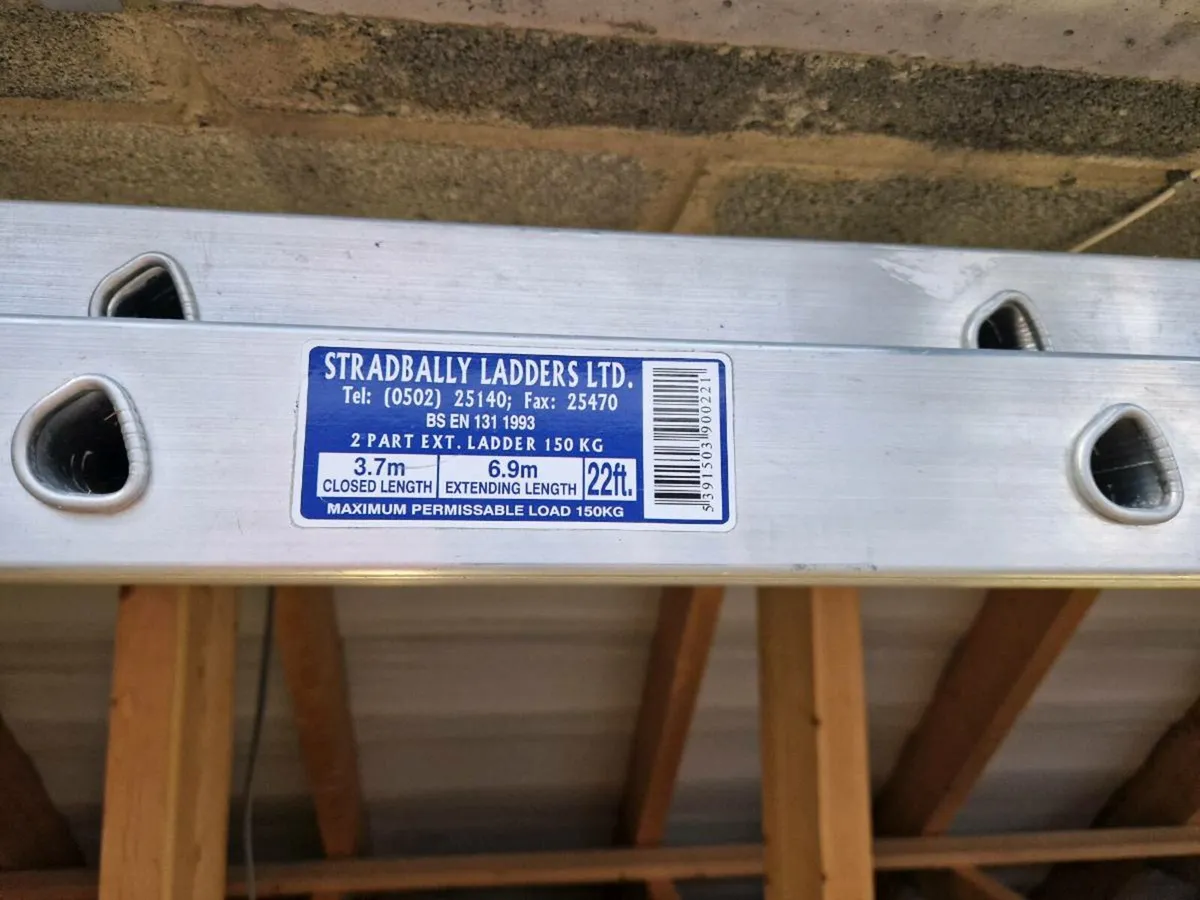 2 Part Ext Ladder - Image 3