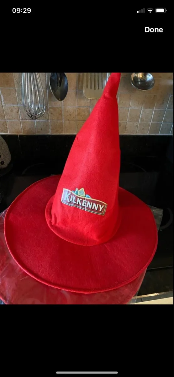 Kilkenny Beer Party/ Novelty Hats - Image 1
