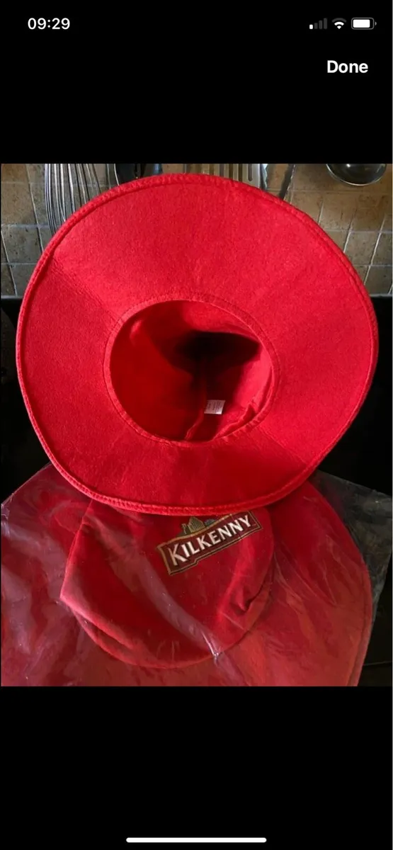 Kilkenny Beer Party/ Novelty Hats - Image 3