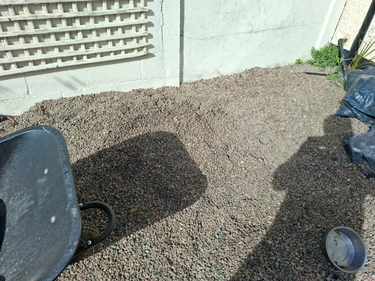 (Free to take) Decorative Garden Stones - Image 1