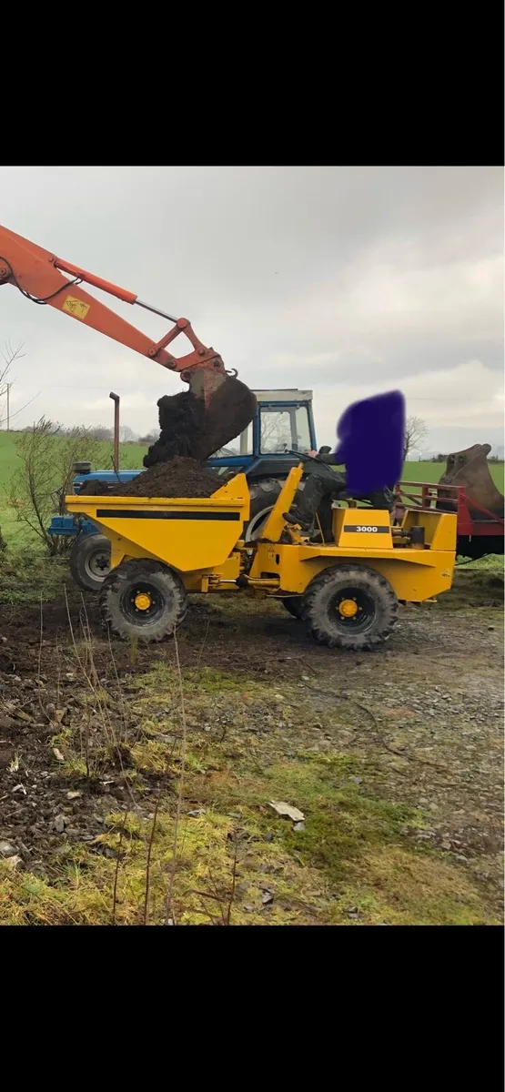 3 ton dumper - Image 4