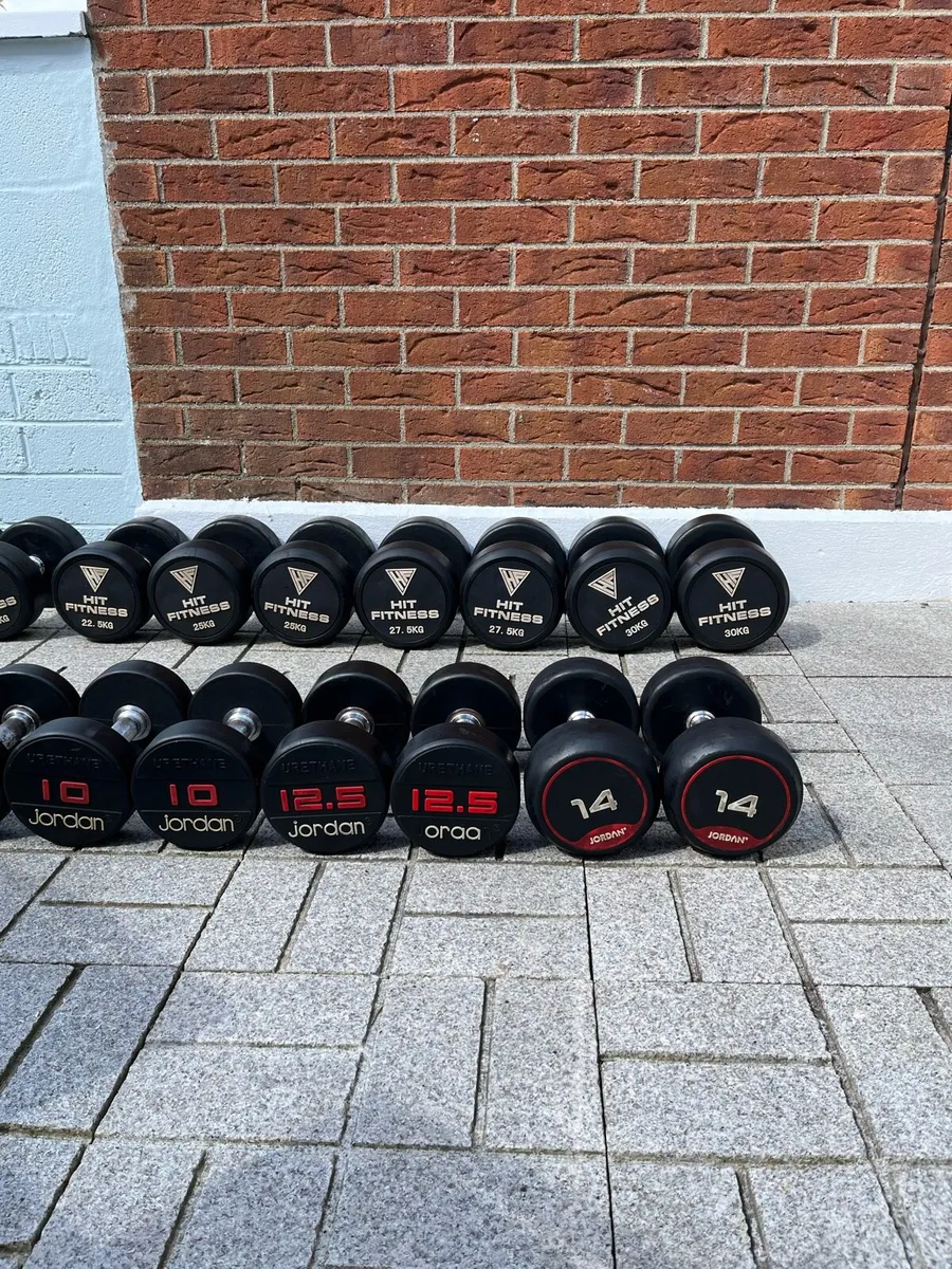 389kg jordan // hit fitness urethane dumbbells - Image 3
