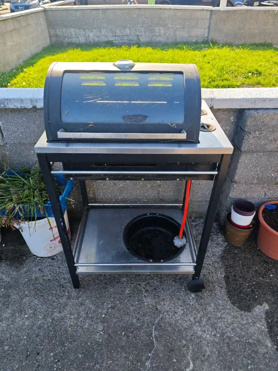 Gas BBQ Grill - Image 1
