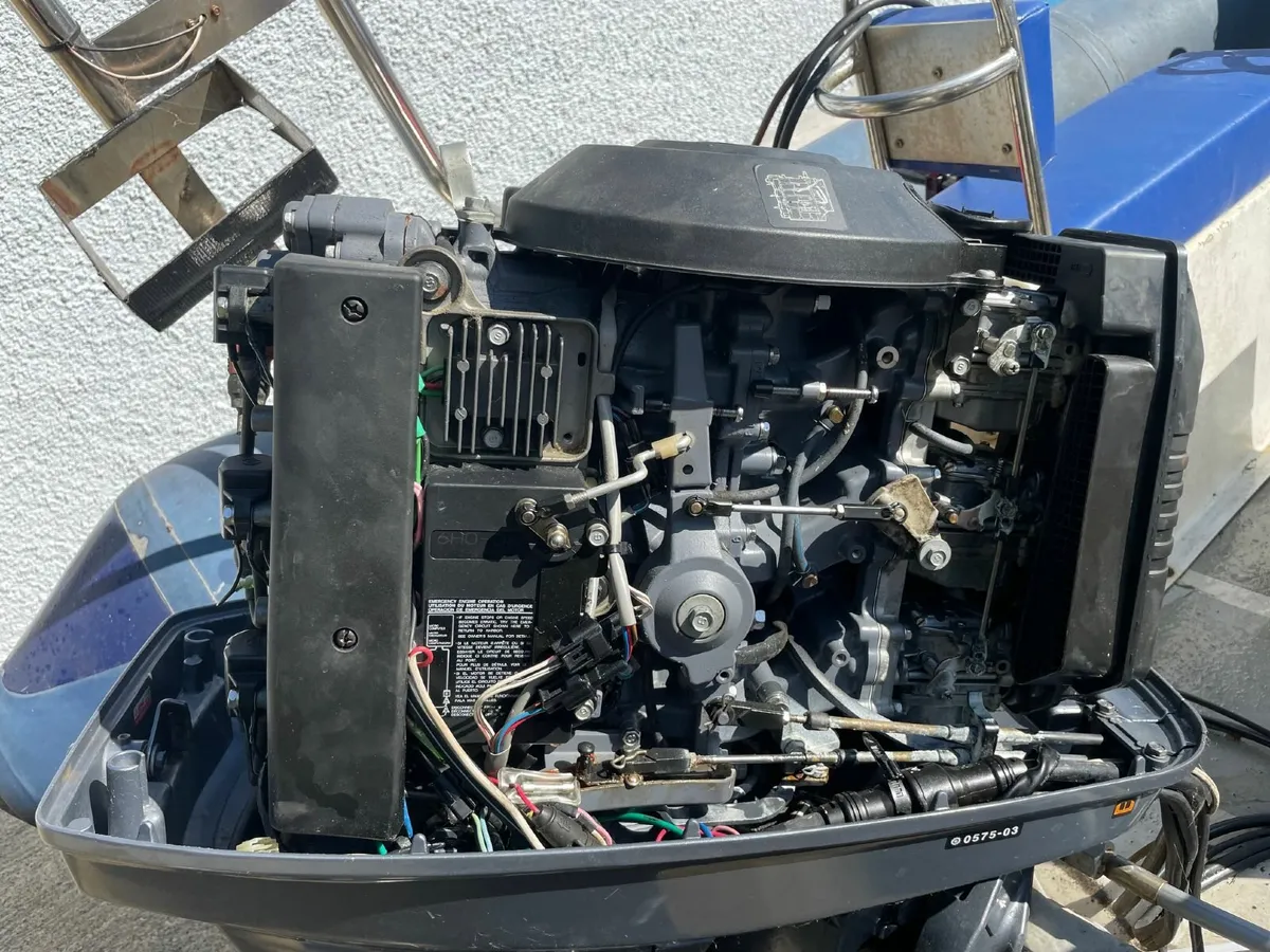 RIB - Image 3