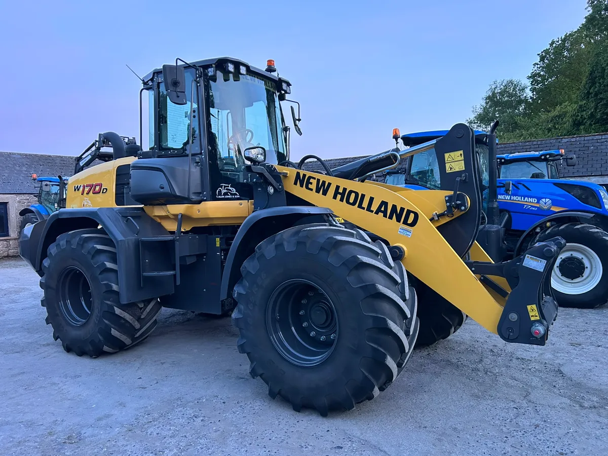 EX Demo unregistered W170D €156950 Plus Vat - Image 1