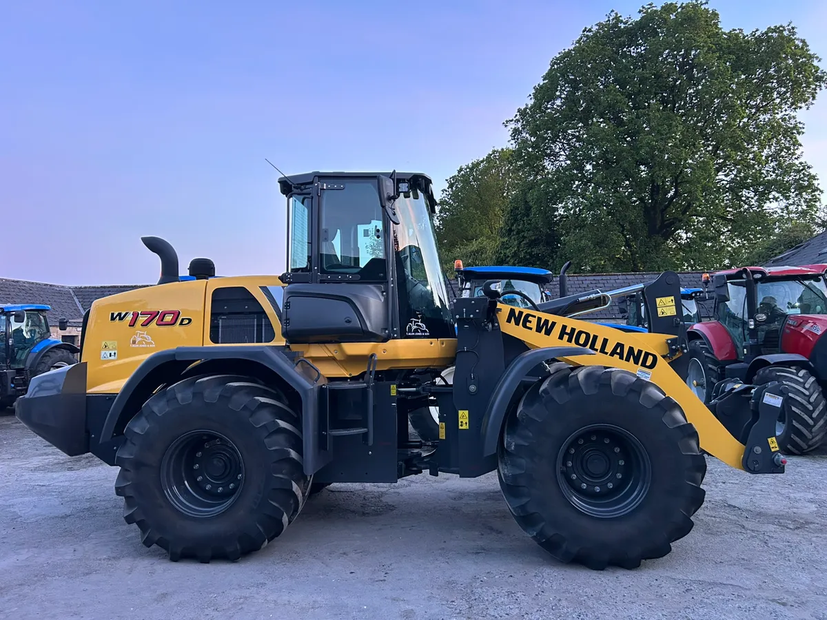 EX Demo unregistered W170D €156950 Plus Vat - Image 2