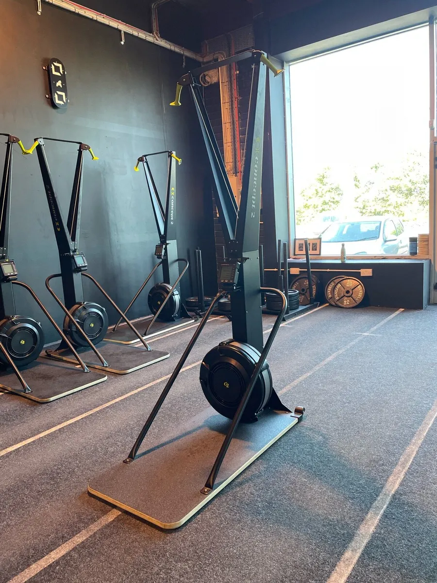 Concept 2 Ski Erg - Image 1
