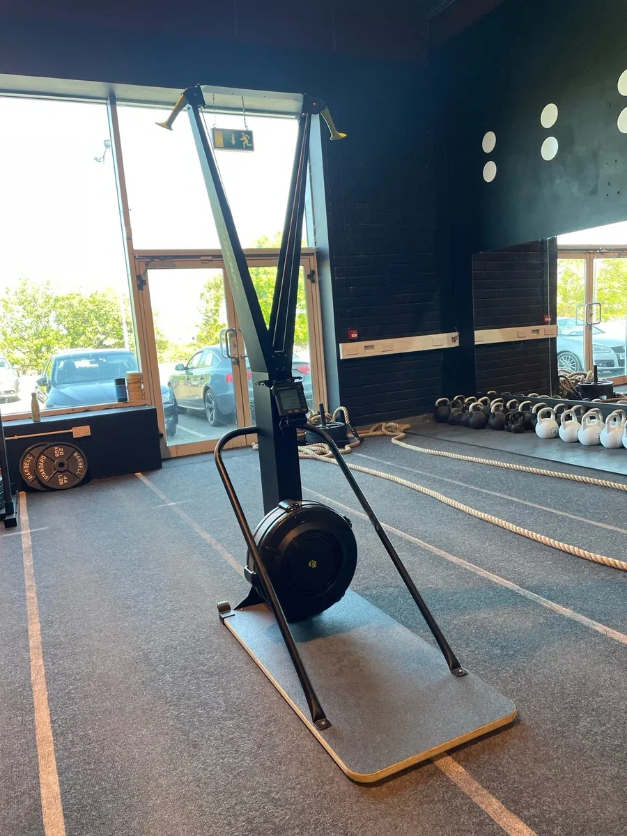 Concept 2 Ski Erg - Image 2