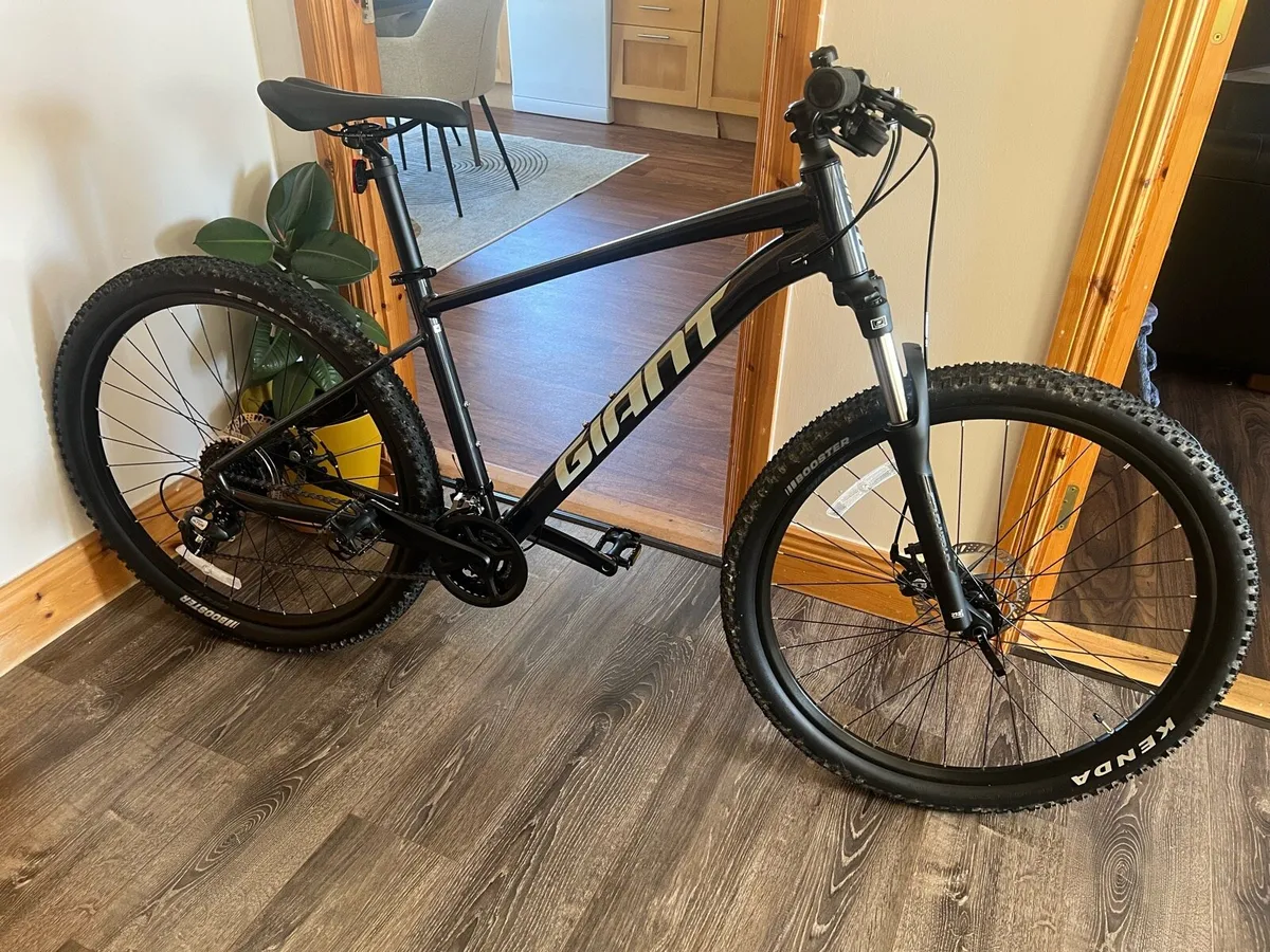 Mountain bike - Image 1