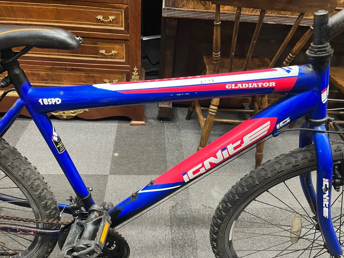 Ignite Gladiator Bike - Image 2