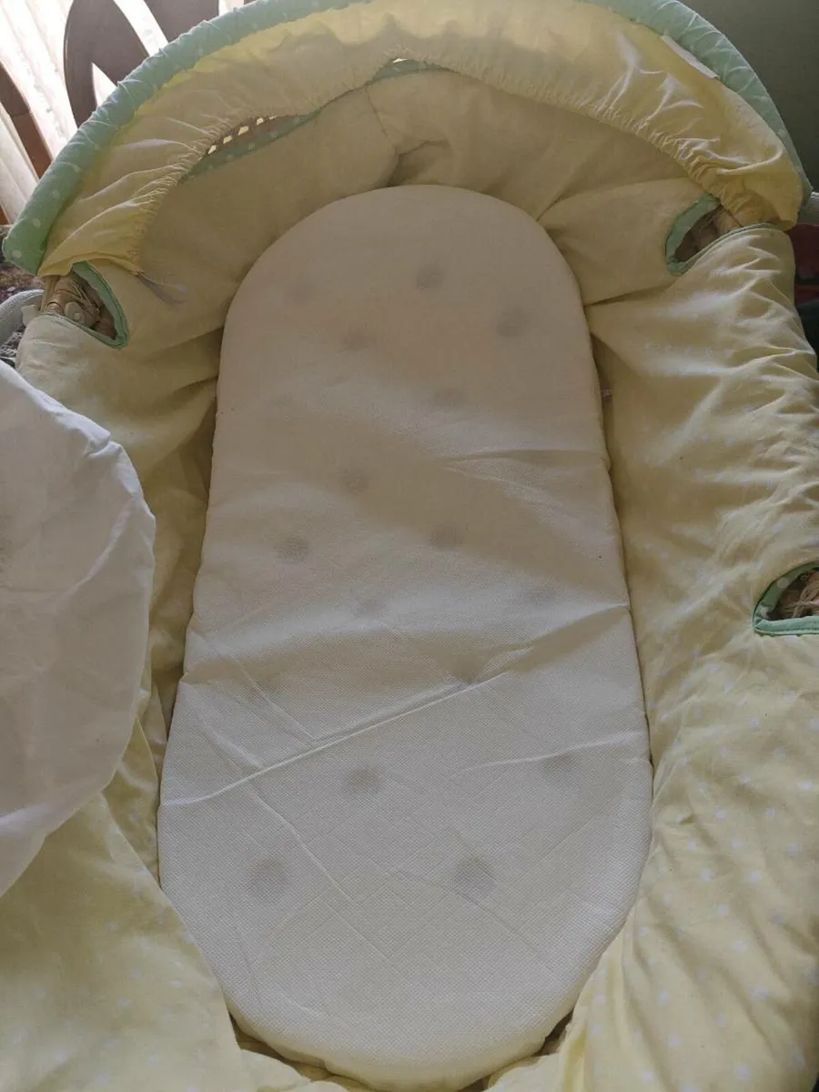 Moses basket