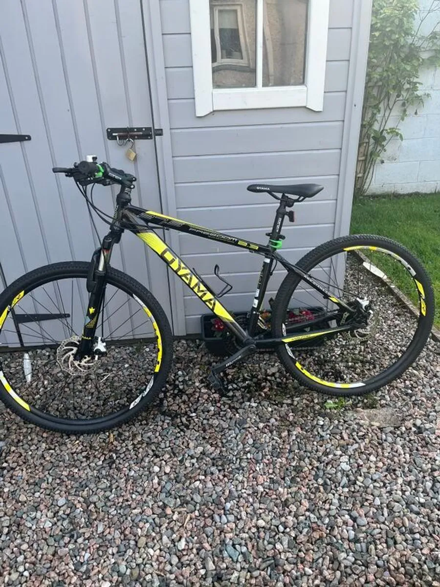 Boys Mountain Bike - Image 1