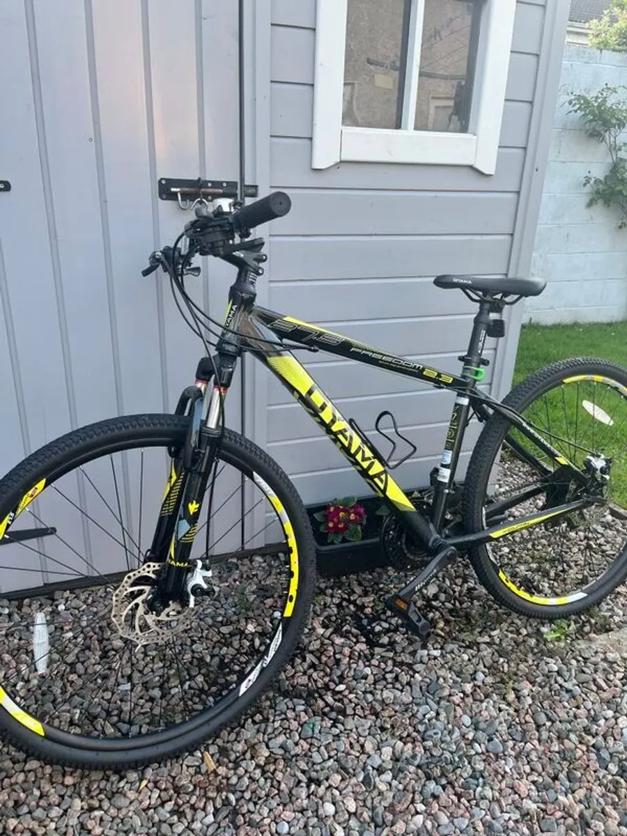 Boys Mountain Bike - Image 2