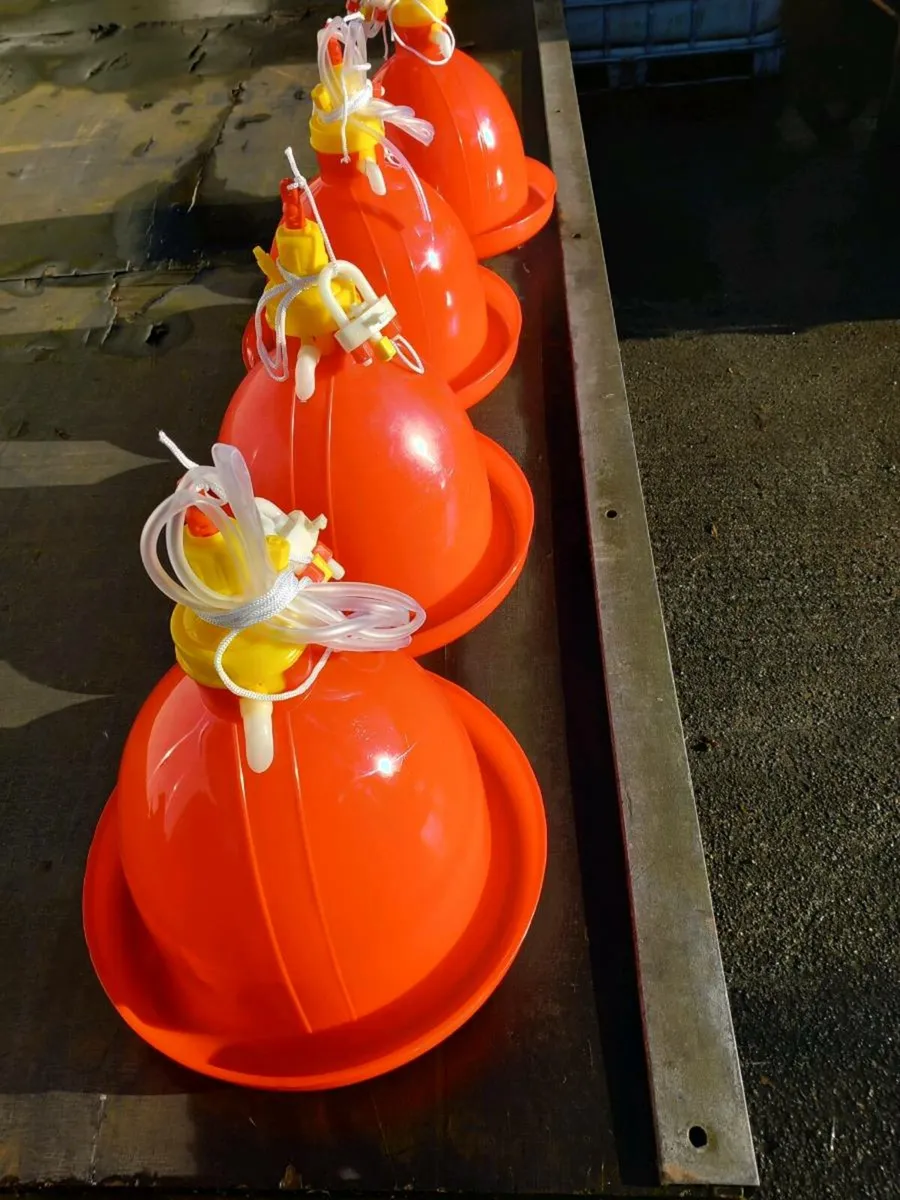 Poultry equipment - Image 4