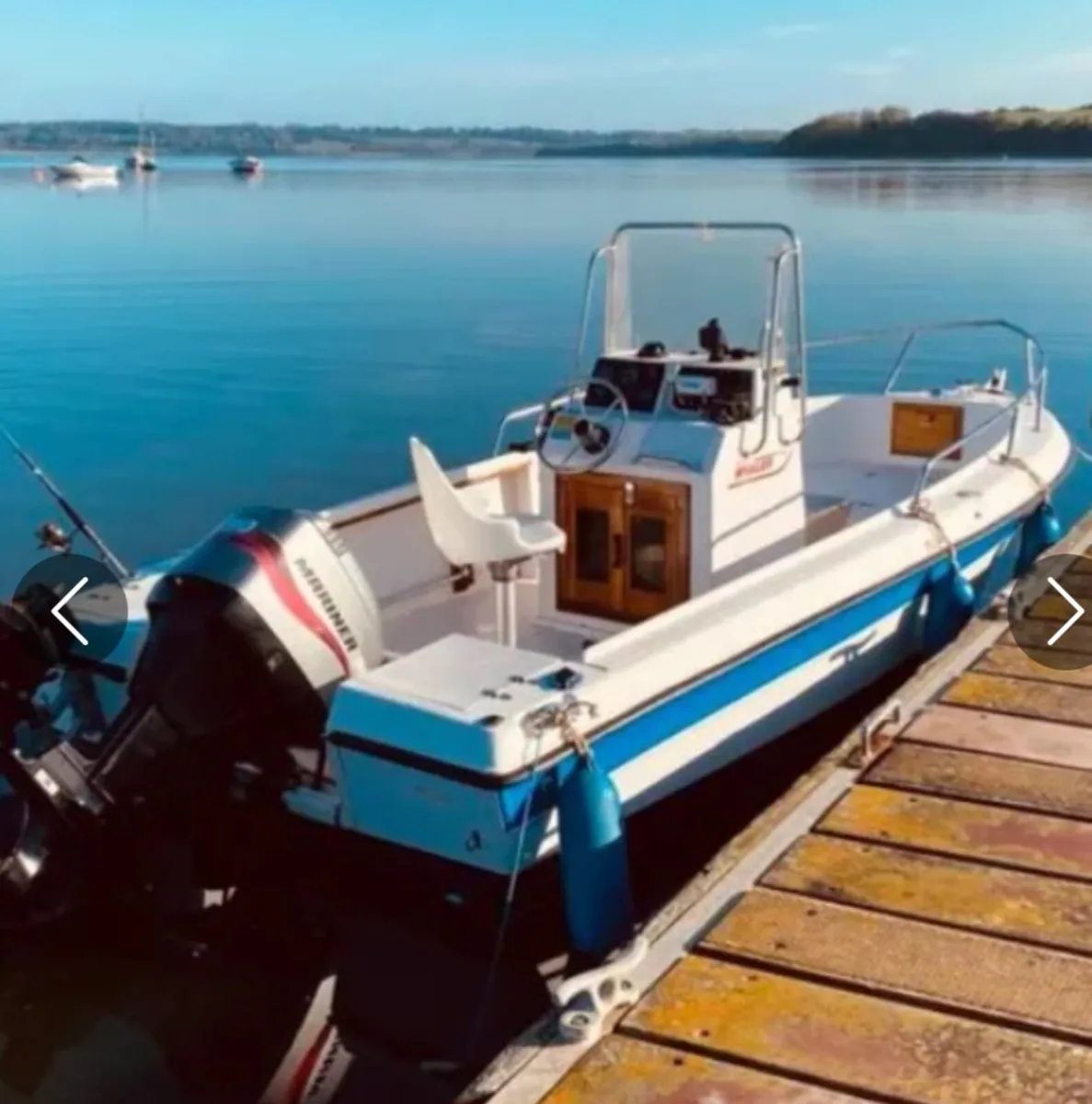 Boat Boston whaler - Image 4