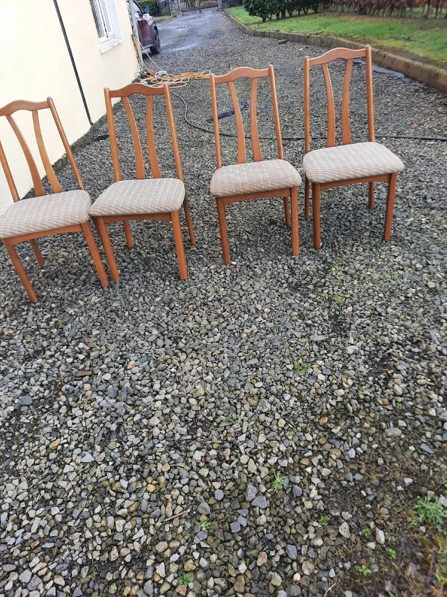 Kitchen chairs - Image 1