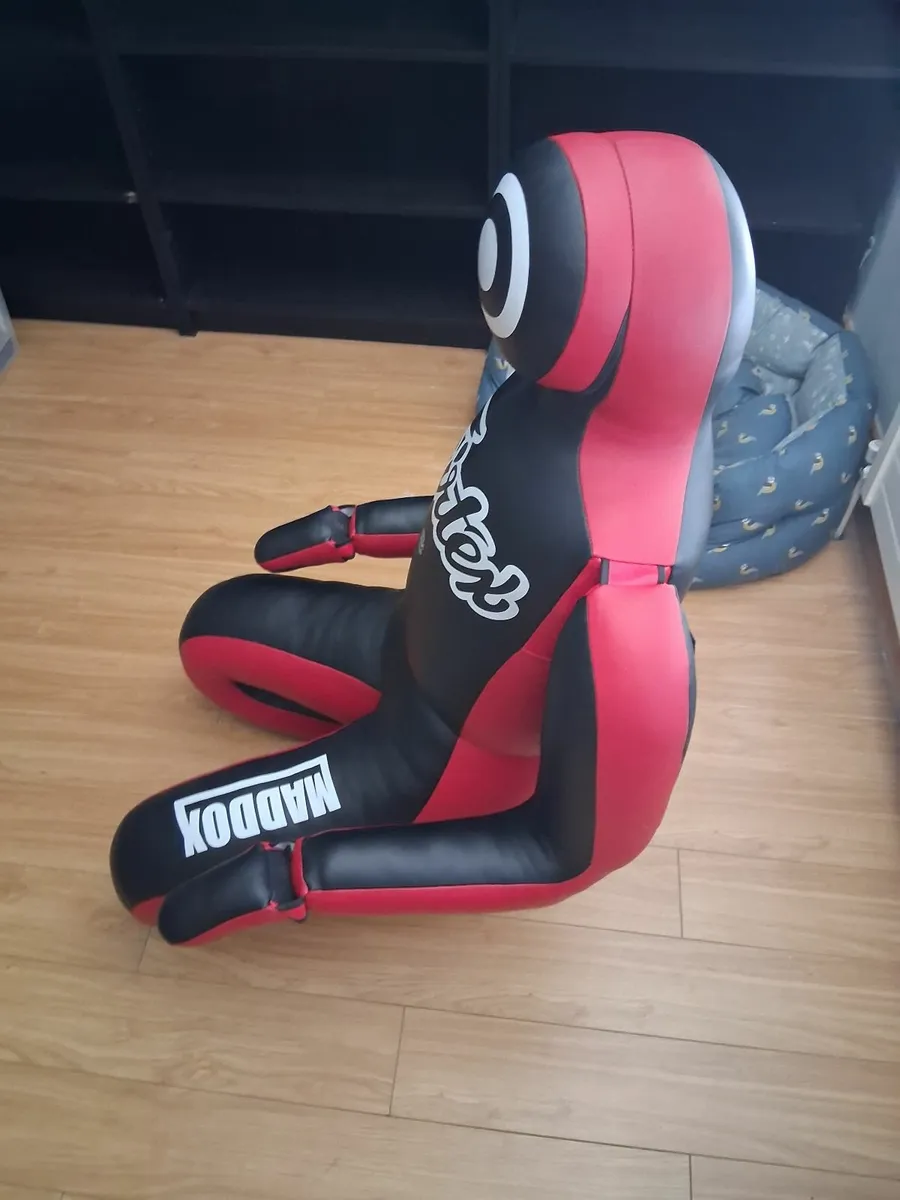 Fairtex Grappling dummy - Image 4