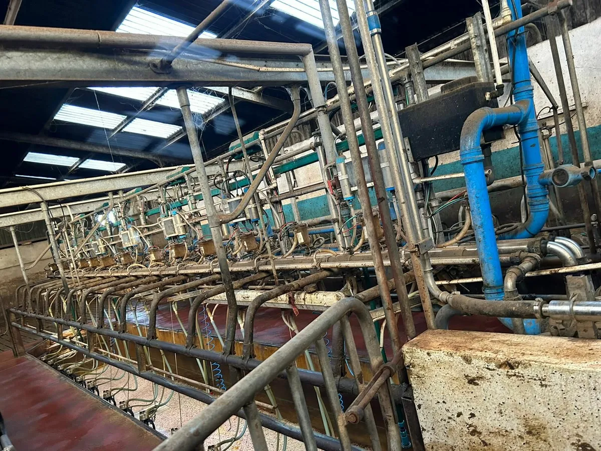 Gea westfaila milking parlours - Image 2