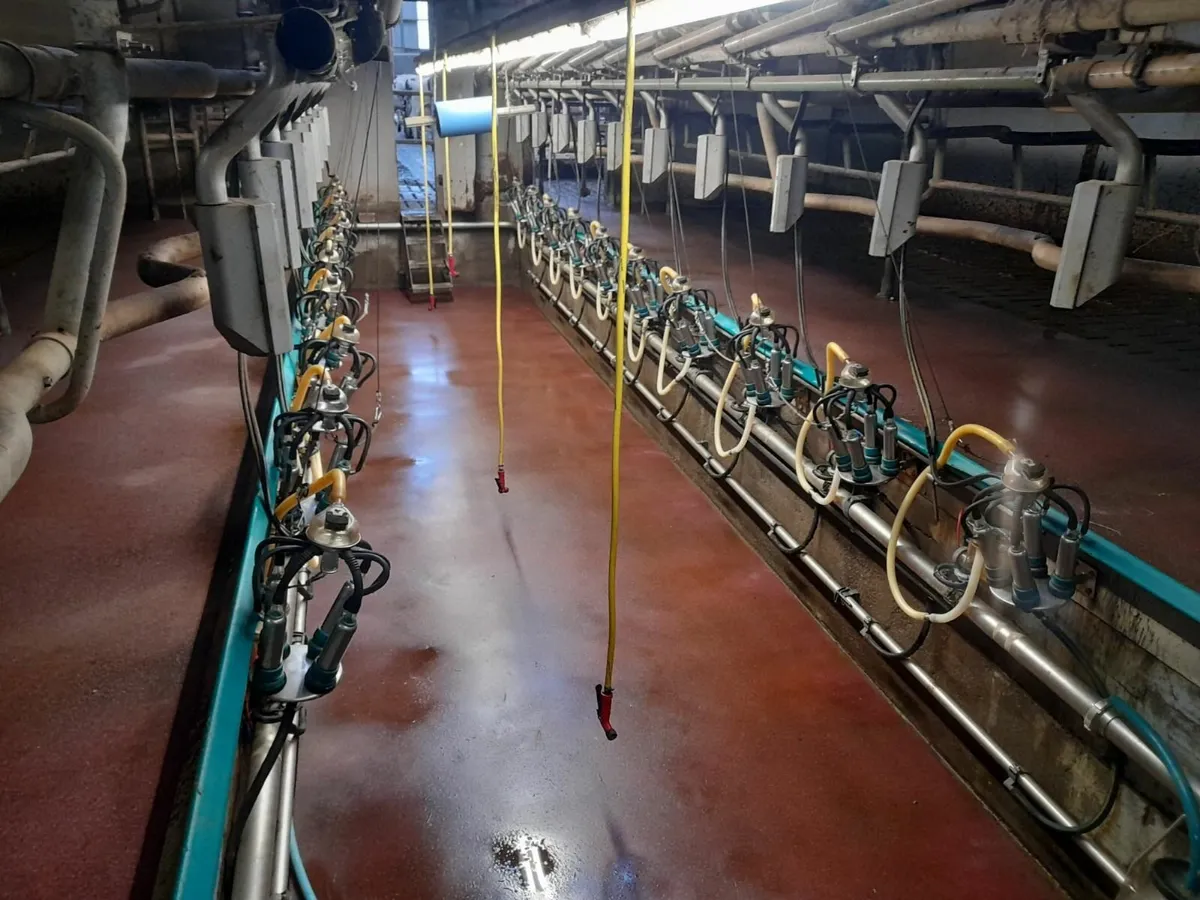 Gea westfaila milking parlours - Image 1