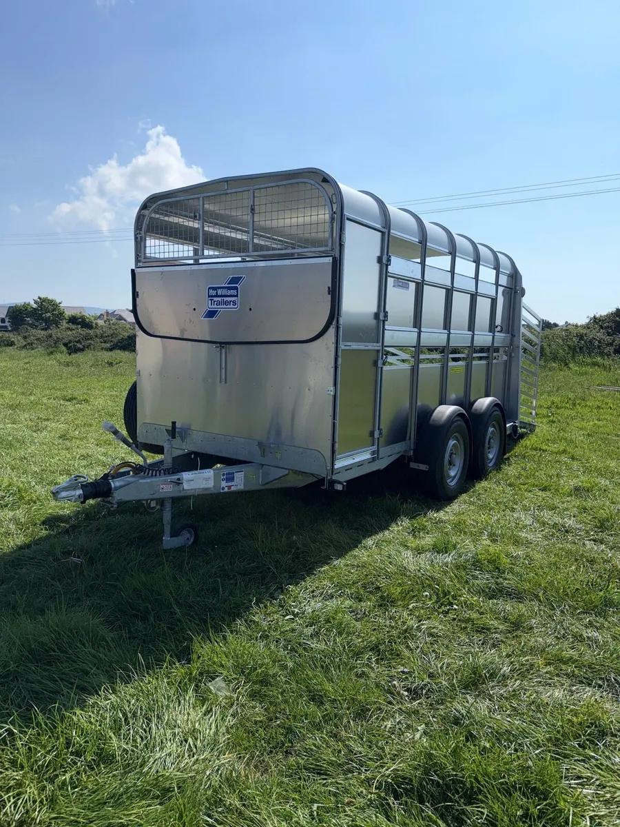 Ifor Williams 2025 cattle trailer - Image 1