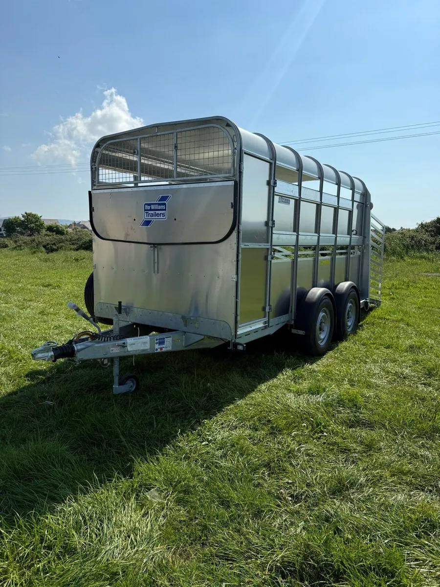 Ifor Williams 2025 cattle trailer - Image 2