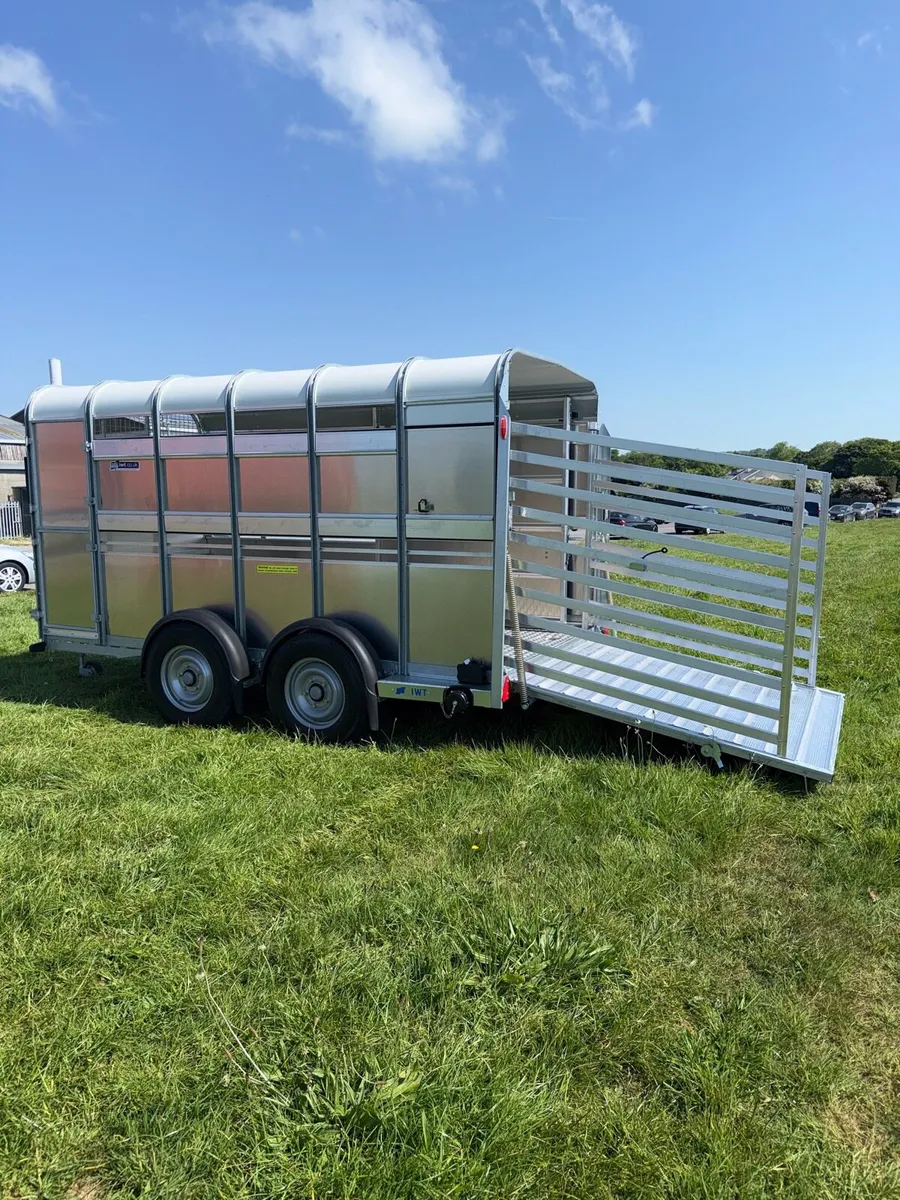 Ifor Williams 2025 cattle trailer - Image 3