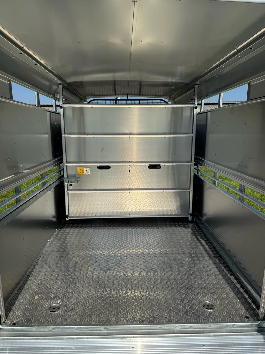 Ifor Williams 2025 cattle trailer - Image 4