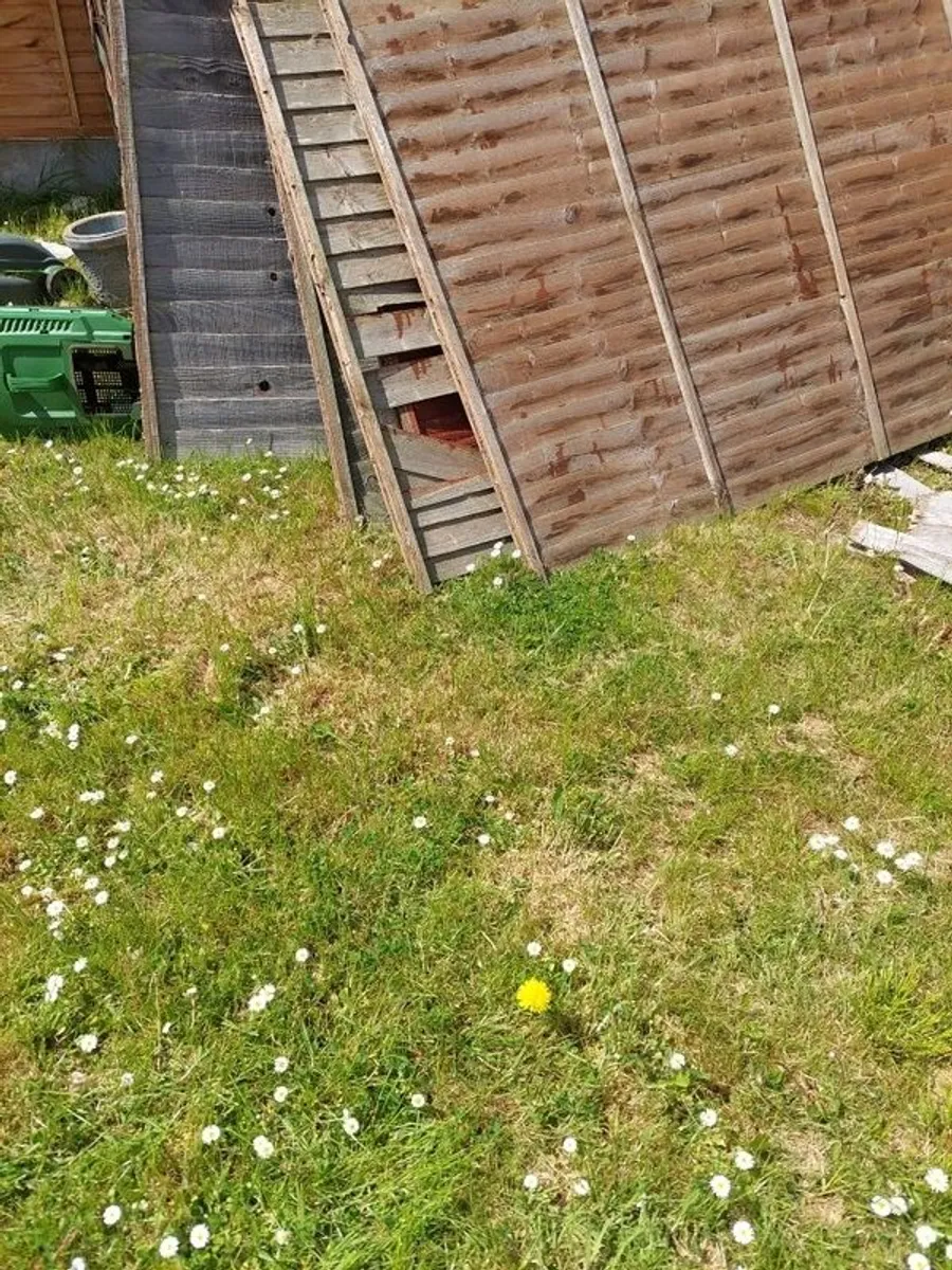 Free Wood - Image 1