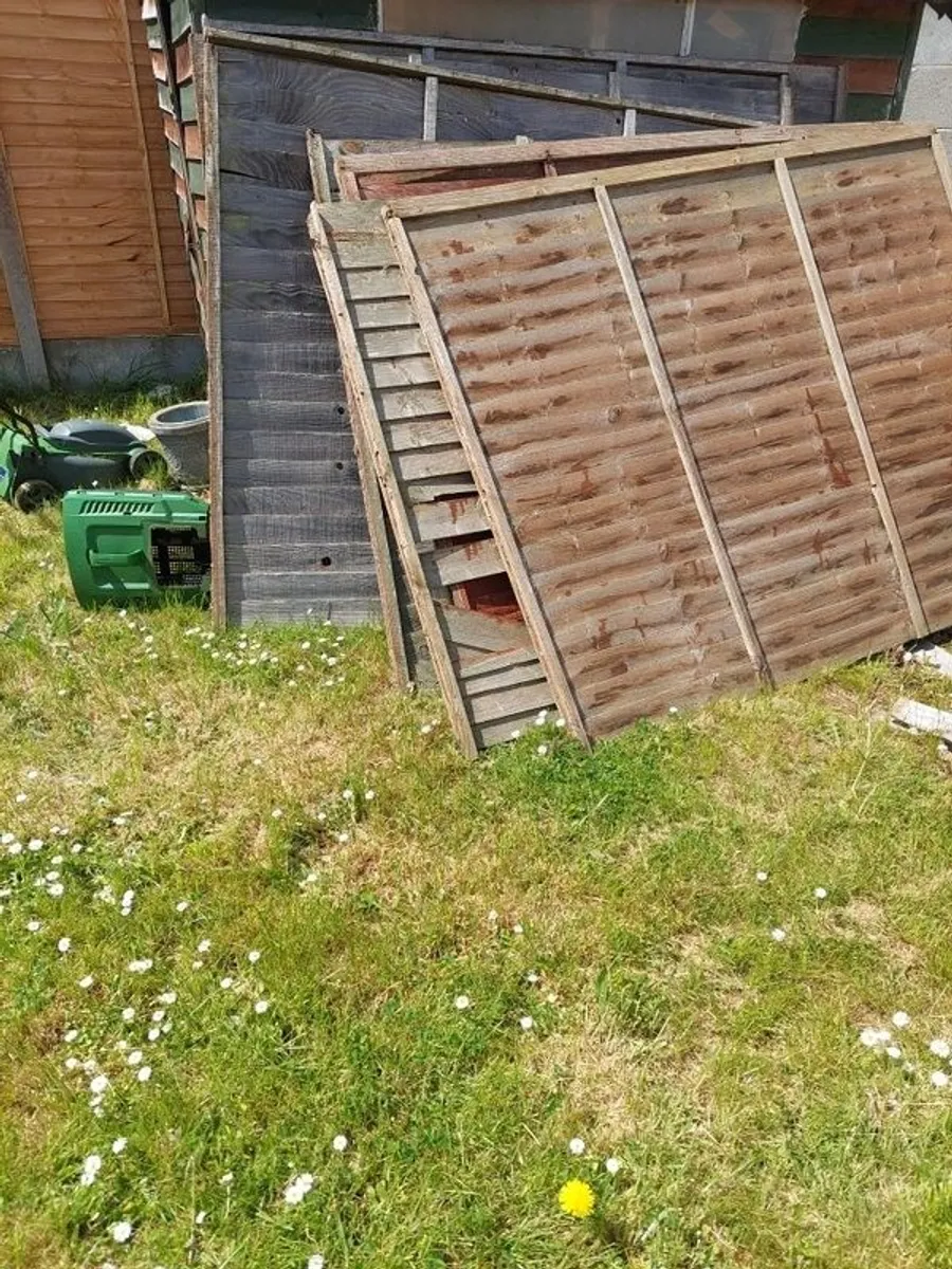 Free Wood - Image 2