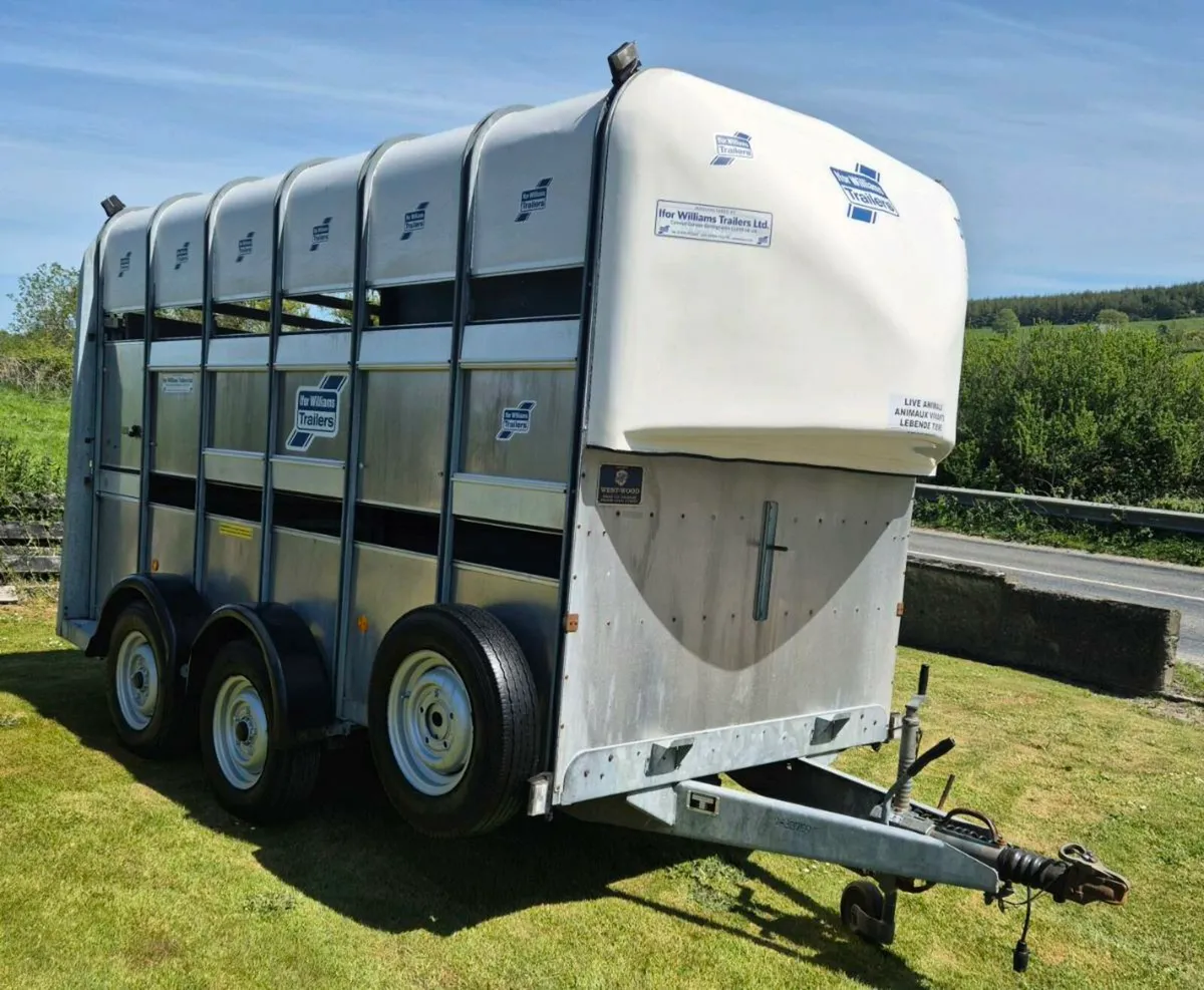 Ifor williams 12 x 6,7 horse/cattle/sheeptrailer - Image 1