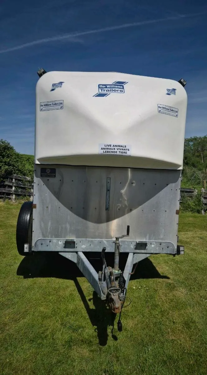 Ifor williams 12 x 6,7 horse/cattle/sheeptrailer - Image 2