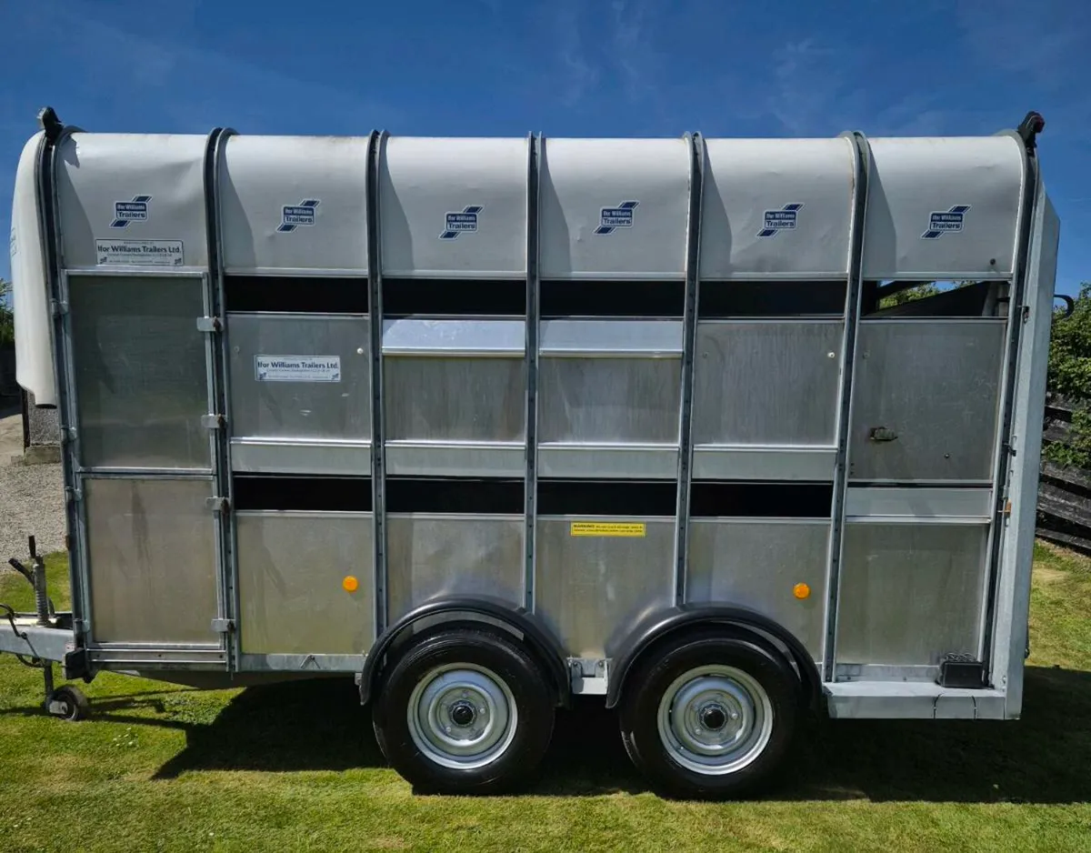 Ifor williams 12 x 6,7 horse/cattle/sheeptrailer - Image 4