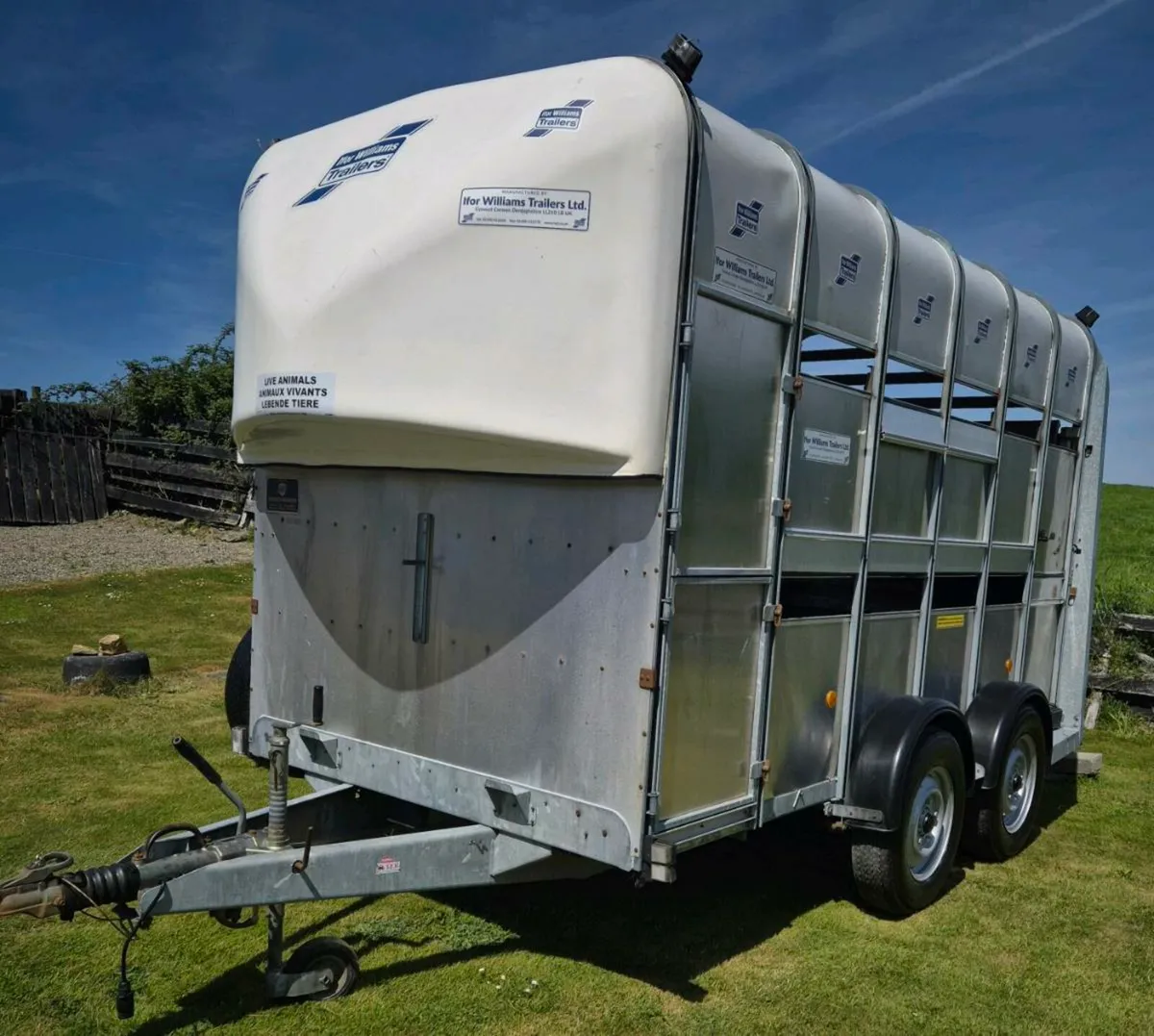 Ifor williams 12 x 6,7 horse/cattle/sheep trailer - Image 3