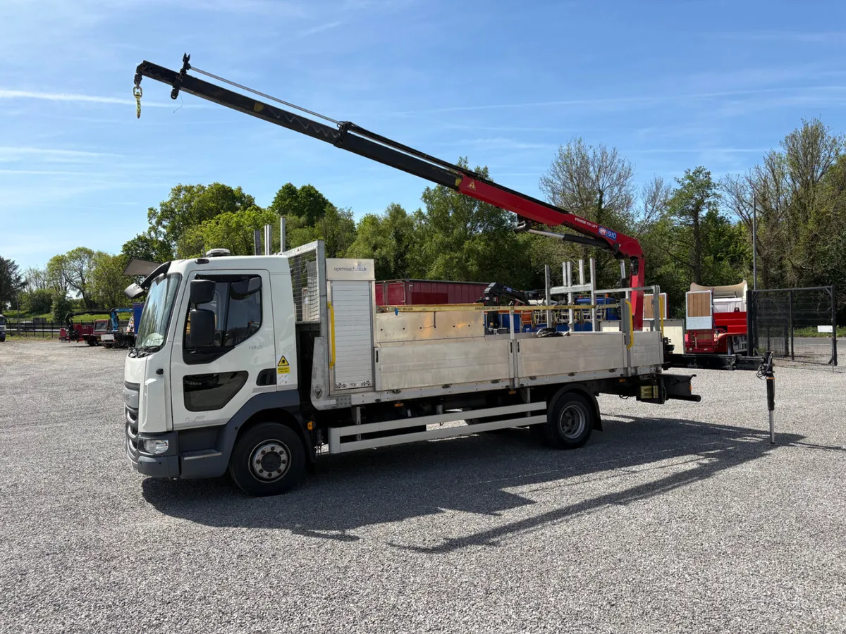 2021 DAF LF 180 12T Poling lorry remote crane - Image 1