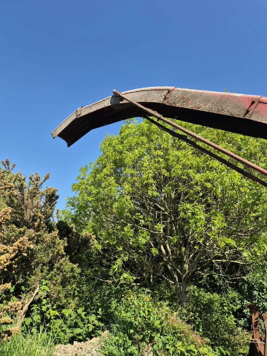 JF 1360 Trailed Forage Harvester - Image 4