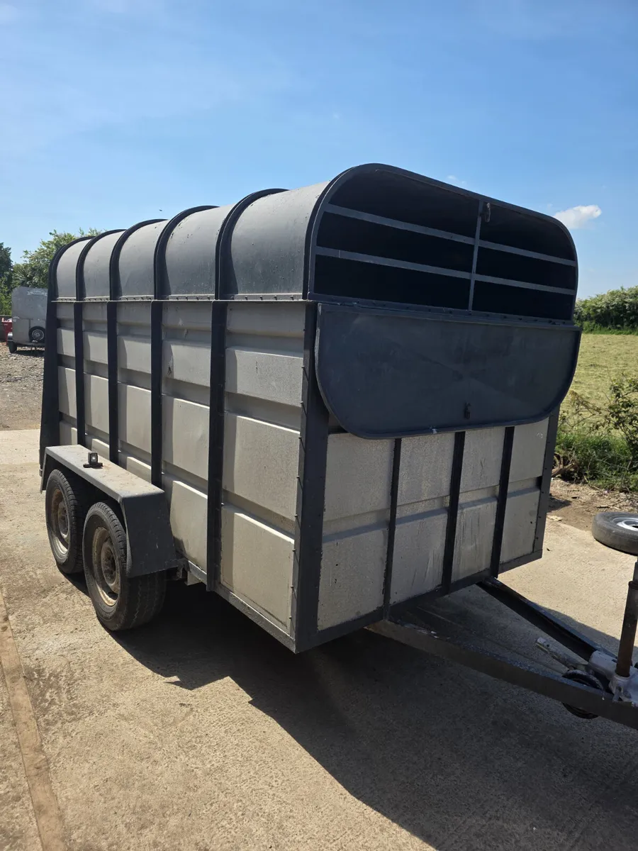 10x6  murphy livestock trailer - Image 1
