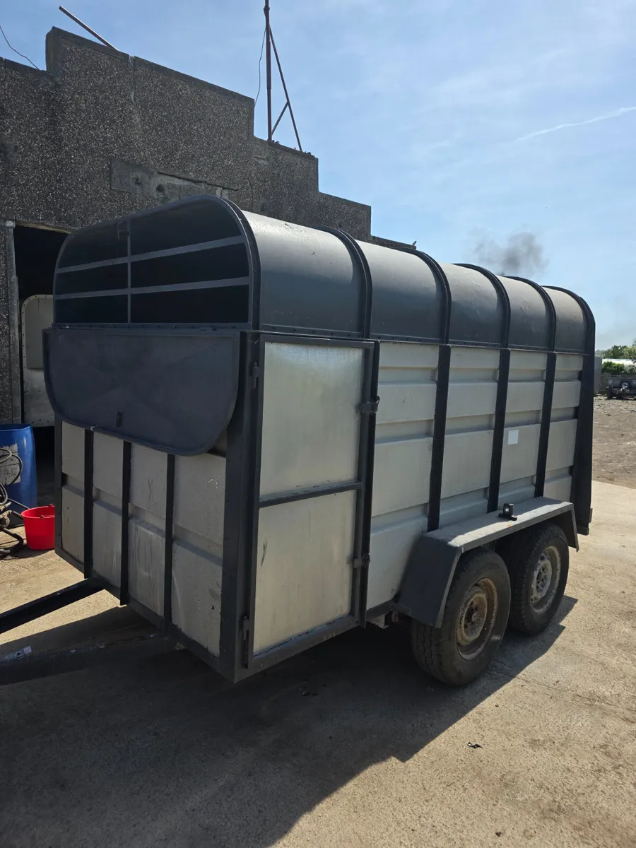10x6  murphy livestock trailer - Image 2