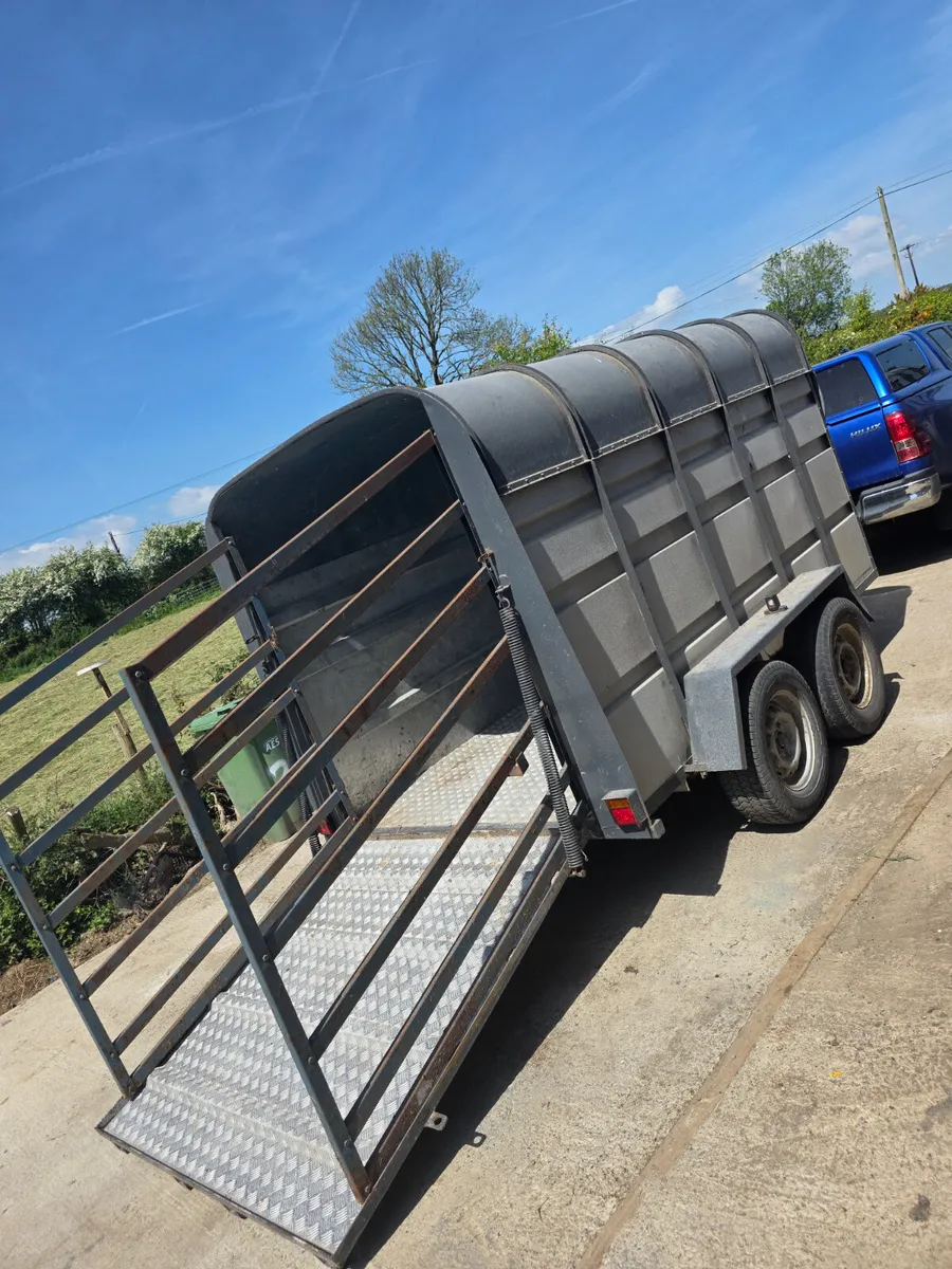 10x6  murphy livestock trailer - Image 4