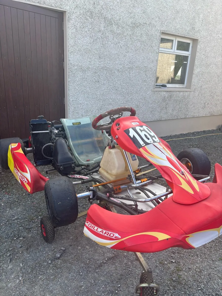 Rotax Max Senior 125cc Gillard - Image 1