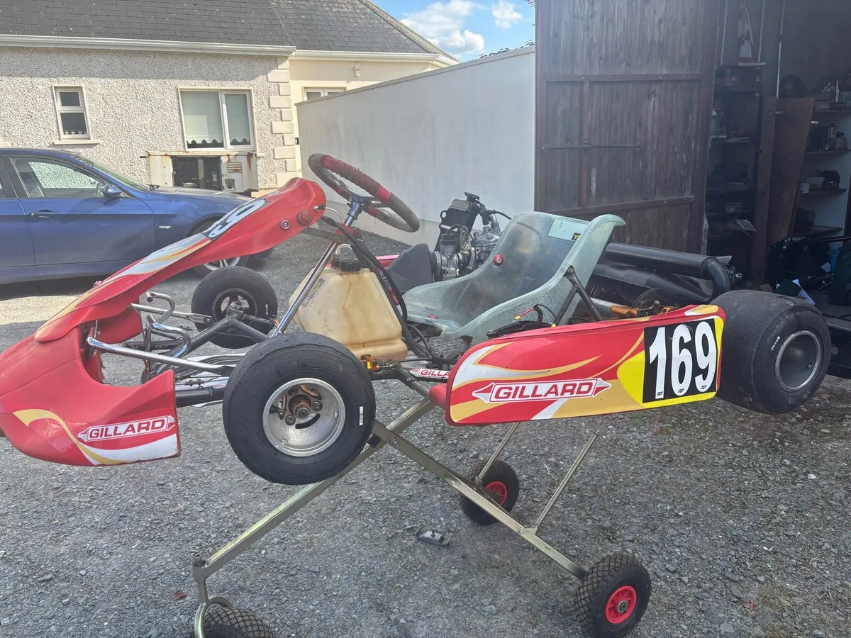 Rotax Max Senior 125cc Gillard - Image 2